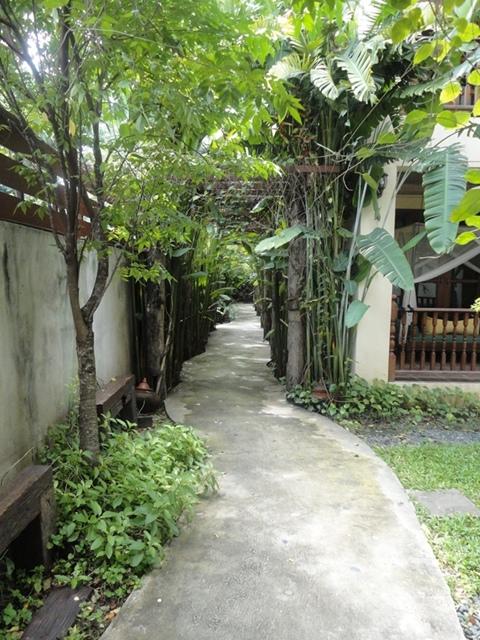 DSC03657.JPG